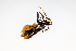  ( - SBCTA2022Jul26H)  @11 [ ] by-nc-nd (2024) Elijah Goodwin Stone Barns Center
