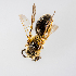  ( - SBCTA2023APR25b)  @11 [ ] by-nc-nd (2024) Elijah Goodwin Stone Barns Center