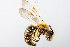  ( - SBCTA2023MAR26b)  @11 [ ] by-nc-nd (2024) Elijah Goodwin Stone Barns Center