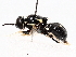  ( - BIOUG72936-A02)  @11 [ ] CreativeCommons - Attribution (2021) CBG Photography Group Centre for Biodiversity Genomics