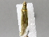  ( - BIOUG72936-F10)  @11 [ ] CreativeCommons - Attribution (2021) CBG Photography Group Centre for Biodiversity Genomics