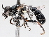  ( - BIOUG72938-F05)  @11 [ ] CreativeCommons - Attribution (2021) CBG Photography Group Centre for Biodiversity Genomics