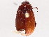  ( - BIOUG72957-G03)  @11 [ ] CreativeCommons - Attribution (2021) CBG Photography Group Centre for Biodiversity Genomics