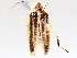  ( - BIOUG72958-C03)  @11 [ ] CreativeCommons - Attribution (2021) CBG Photography Group Centre for Biodiversity Genomics