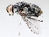  ( - BIOUG72958-E06)  @11 [ ] CreativeCommons - Attribution (2021) CBG Photography Group Centre for Biodiversity Genomics