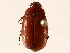  ( - BIOUG72962-G02)  @11 [ ] CreativeCommons - Attribution (2021) CBG Photography Group Centre for Biodiversity Genomics