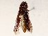  ( - BIOUG72962-G07)  @11 [ ] CreativeCommons - Attribution (2021) CBG Photography Group Centre for Biodiversity Genomics
