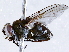 ( - BIOUG72963-A08)  @11 [ ] CreativeCommons - Attribution (2021) CBG Photography Group Centre for Biodiversity Genomics