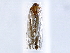  ( - BIOUG72963-D12)  @11 [ ] CreativeCommons - Attribution (2021) CBG Photography Group Centre for Biodiversity Genomics