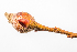  ( - G34E17DEC2022b1)  @11 [ ] by-nc-nd (2024) Elijah Goodwin Stone Barns Center