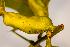  ( - GSBE27MAY2023c2a)  @11 [ ] by-nc-nd (2024) Elijah Goodwin Stone Barns Center