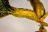 ( - GSBE27MAY2023c1)  @11 [ ] by-nc-nd (2024) Elijah Goodwin Stone Barns Center