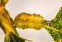  ( - GSBE27MAY2023c1)  @11 [ ] by-nc-nd (2024) Elijah Goodwin Stone Barns Center