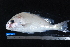  ( - NBE0002)  @13 [ ] No Rights Reserved  Unspecified Unspecified