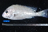  ( - NBE0003)  @13 [ ] No Rights Reserved  Unspecified Unspecified