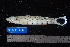  ( - NBE0044)  @13 [ ] No Rights Reserved  Unspecified Unspecified