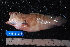  ( - NBE0085)  @13 [ ] No Rights Reserved  Unspecified Unspecified