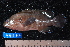  ( - NBE0086)  @13 [ ] No Rights Reserved  Unspecified Unspecified