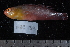  ( - NBE0133)  @12 [ ] No Rights Reserved  Unspecified Unspecified