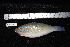  ( - REU0299)  @13 [ ] No Rights Reserved  Unspecified Unspecified