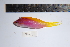  ( - REU0741)  @12 [ ] No Rights Reserved  Unspecified Unspecified