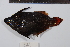  ( - REU0911)  @13 [ ] No Rights Reserved  Unspecified Unspecified