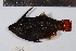  ( - REU0912)  @12 [ ] No Rights Reserved  Unspecified Unspecified