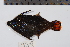 ( - REU0998)  @13 [ ] No Rights Reserved  Unspecified Unspecified
