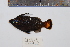  ( - REU0999)  @13 [ ] No Rights Reserved  Unspecified Unspecified
