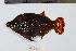  ( - REU1000)  @13 [ ] No Rights Reserved  Unspecified Unspecified