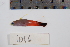  ( - REU1016)  @12 [ ] No Rights Reserved  Unspecified Unspecified