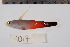  ( - REU1017)  @13 [ ] No Rights Reserved  Unspecified Unspecified