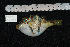  ( - REU114_1)  @13 [ ] No Rights Reserved  Unspecified Unspecified