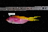  ( - REU1621)  @14 [ ] No Rights Reserved  Unspecified Unspecified