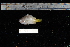  ( - REU1805)  @12 [ ] No Rights Reserved  Unspecified Unspecified