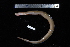  ( - REU1855)  @13 [ ] No Rights Reserved  Unspecified Unspecified
