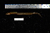  ( - REU1856)  @13 [ ] No Rights Reserved  Unspecified Unspecified