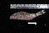  ( - REU2638)  @13 [ ] No Rights Reserved  Unspecified Unspecified