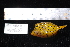  ( - REU337_1)  @14 [ ] No Rights Reserved  Unspecified Unspecified