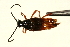  ( - AY165677)  @13 [ ] CreativeCommons - Attribution (2009) Unspecified Centre for Biodiversity Genomics
