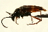  ( - AY165677)  @13 [ ] CreativeCommons - Attribution (2009) Unspecified Centre for Biodiversity Genomics
