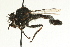  ( - AY165641)  @13 [ ] CreativeCommons - Attribution (2009) Unspecified Centre for Biodiversity Genomics