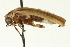  ( - AY165656)  @13 [ ] CreativeCommons - Attribution (2009) Unspecified Centre for Biodiversity Genomics