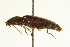  ( - AY165705)  @12 [ ] CreativeCommons - Attribution (2009) Unspecified Centre for Biodiversity Genomics