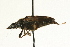  ( - AY165712)  @12 [ ] CreativeCommons - Attribution (2009) Unspecified Centre for Biodiversity Genomics