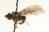  ( - AY165717)  @12 [ ] CreativeCommons - Attribution (2009) Unspecified Centre for Biodiversity Genomics