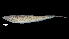  ( - 1607-STB_SBCIM-07-50)  @11 [ ] Copyright (2019) Alejandro Mendez Lopez Instituto de Investigacion de Recursos Biologicos Alexander von Humboldt