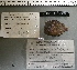  ( - 06-1043)  @12 [ ] Unspecified (default): All Rights Reserved  Unspecified Unspecified