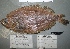  ( - 06-131)  @13 [ ] Unspecified (default): All Rights Reserved  Unspecified Unspecified