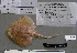  ( - 07-255)  @13 [ ] Unspecified (default): All Rights Reserved  Unspecified Unspecified